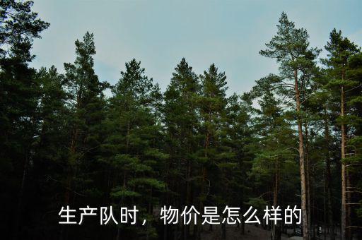 生產(chǎn)隊(duì)時，物價是怎么樣的