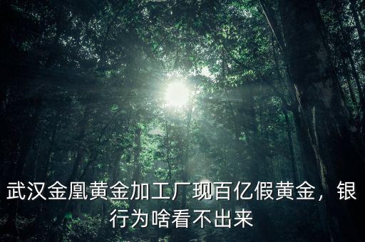 武漢金凰黃金加工廠現(xiàn)百億假黃金，銀行為啥看不出來