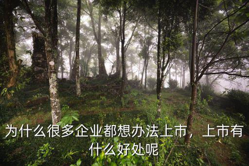為什么很多企業(yè)都想辦法上市，上市有什么好處呢