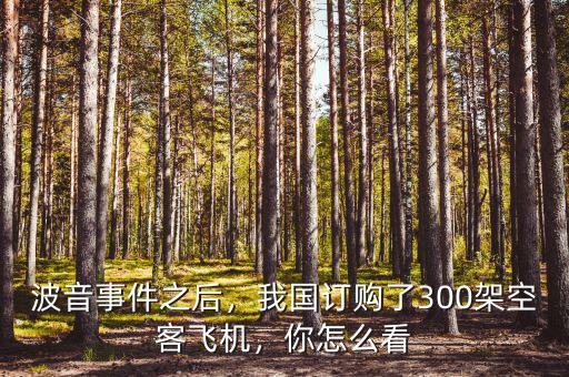波音事件之后，我國訂購了300架空客飛機(jī)，你怎么看