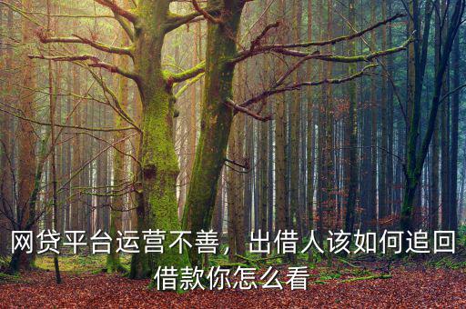 網(wǎng)貸平臺(tái)運(yùn)營(yíng)不善，出借人該如何追回借款你怎么看