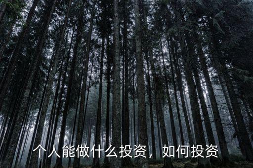 個(gè)人能做什么投資，如何投資