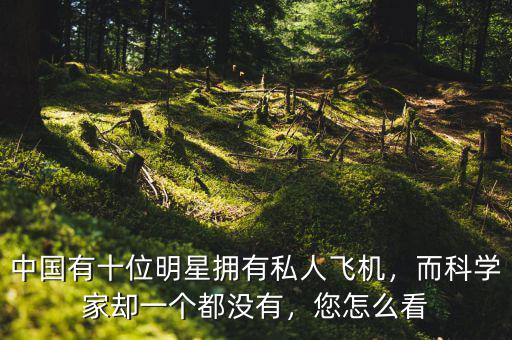 中國(guó)有十位明星擁有私人飛機(jī)，而科學(xué)家卻一個(gè)都沒(méi)有，您怎么看