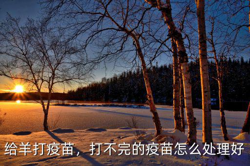 給羊打疫苗，打不完的疫苗怎么處理好