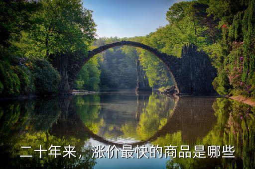 二十年來，漲價(jià)最快的商品是哪些