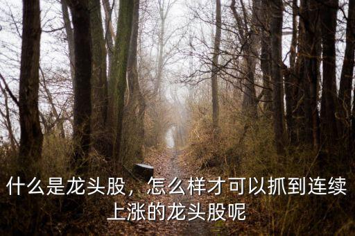 什么是龍頭股，怎么樣才可以抓到連續(xù)上漲的龍頭股呢