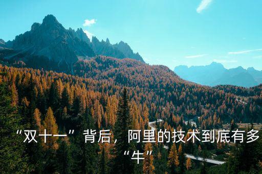 “雙十一”背后，阿里的技術(shù)到底有多“?！? class=