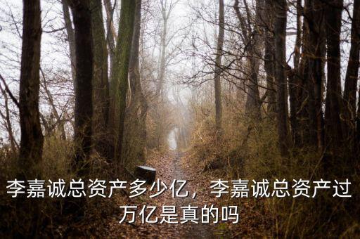 李嘉誠(chéng)總資產(chǎn)多少億，李嘉誠(chéng)總資產(chǎn)過(guò)萬(wàn)億是真的嗎