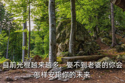 目前光棍越來(lái)越多，娶不到老婆的你會(huì)怎樣安排你的未來(lái)
