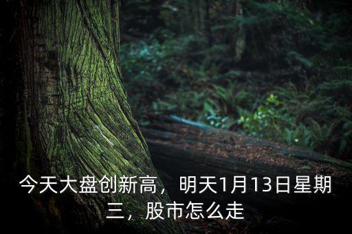 今天大盤(pán)創(chuàng)新高，明天1月13日星期三，股市怎么走