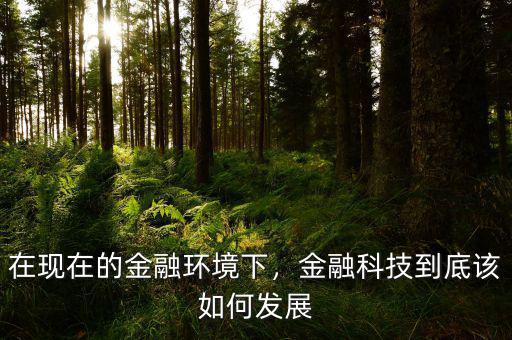 在現(xiàn)在的金融環(huán)境下，金融科技到底該如何發(fā)展