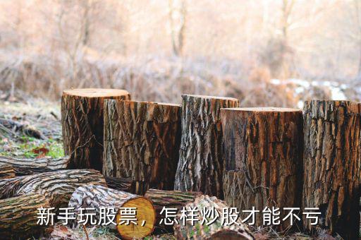新手玩股票，怎樣炒股才能不虧