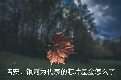 諾安，銀河為代表的芯片基金怎么了