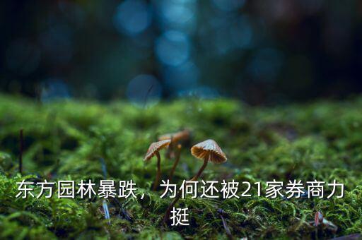 東方園林暴跌，為何還被21家券商力挺
