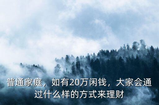 普通家庭，如有20萬(wàn)閑錢(qián)，大家會(huì)通過(guò)什么樣的方式來(lái)理財(cái)