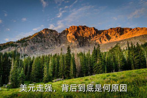 美元走強，背后到底是何原因
