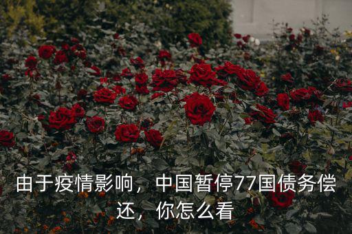 由于疫情影響，中國暫停77國債務(wù)償還，你怎么看