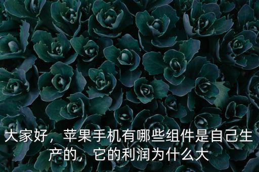大家好，蘋果手機有哪些組件是自己生產(chǎn)的，它的利潤為什么大