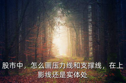 股市中，怎么畫壓力線和支撐線，在上影線還是實體處