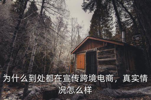 為什么到處都在宣傳跨境電商，真實情況怎么樣