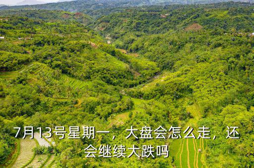 7月13號(hào)星期一，大盤會(huì)怎么走，還會(huì)繼續(xù)大跌嗎