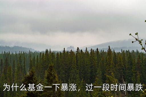 為什么基金一下暴漲，過一段時間暴跌