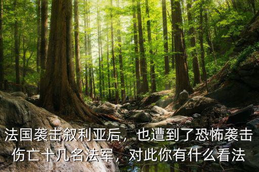 法國襲擊敘利亞后，也遭到了恐怖襲擊傷亡十幾名法軍，對此你有什么看法