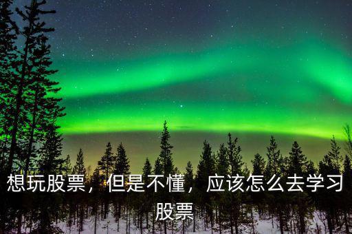 想玩股票，但是不懂，應(yīng)該怎么去學(xué)習(xí)股票