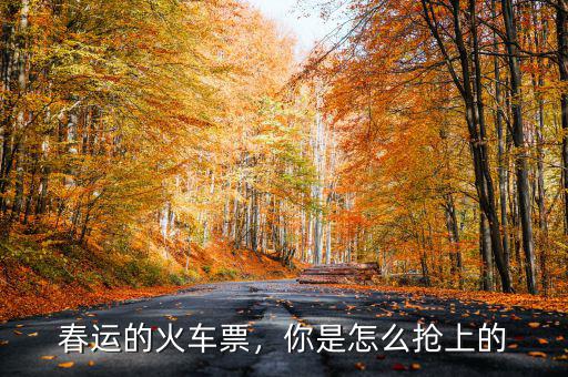 春運的火車票，你是怎么搶上的