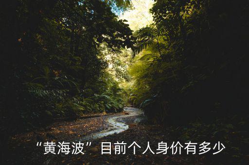 何寧寧個人身價(jià)有多少,沈騰身價(jià)有多少