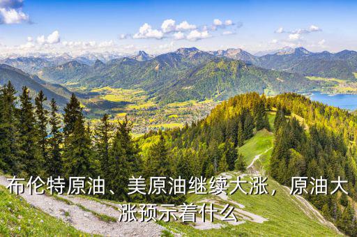 布倫特原油、美原油繼續(xù)大漲，原油大漲預(yù)示著什么