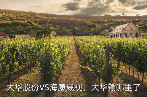 海康威視怎么持有股份,寧德時(shí)代和?？低?/></a></span><span id=