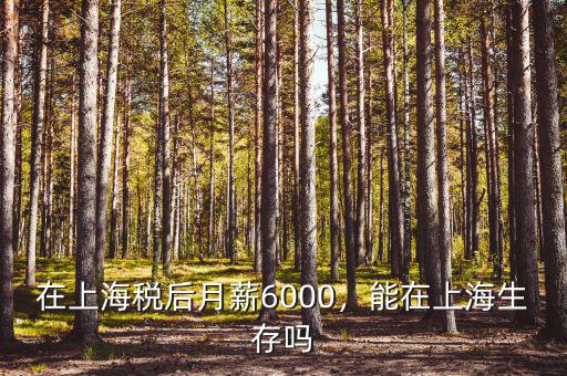 在上海稅后月薪6000，能在上海生存嗎
