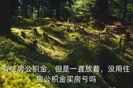 有住房公積金，但是一直放著，沒用住房公積金買房虧嗎