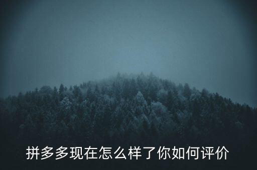 拼多多現(xiàn)在怎么樣了你如何評價