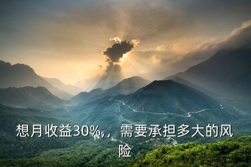 想月收益30%,，需要承擔(dān)多大的風(fēng)險(xiǎn)