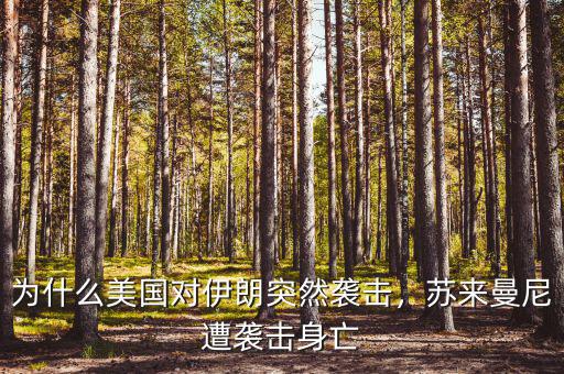 為什么美國(guó)對(duì)伊朗突然襲擊，蘇來(lái)曼尼遭襲擊身亡