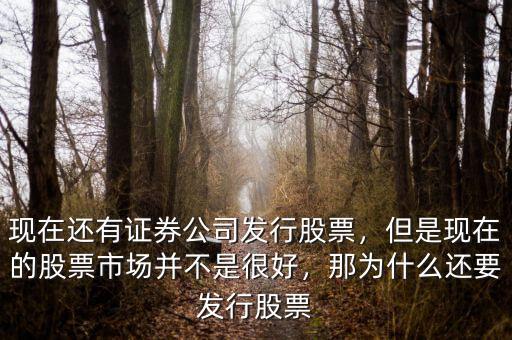 現(xiàn)在還有證券公司發(fā)行股票，但是現(xiàn)在的股票市場并不是很好，那為什么還要發(fā)行股票