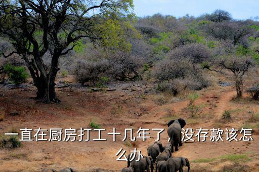 一直在廚房打工十幾年了，沒(méi)存款該怎么辦
