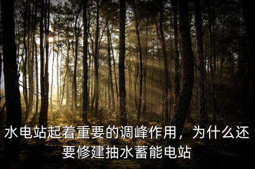 水電站起著重要的調(diào)峰作用，為什么還要修建抽水蓄能電站
