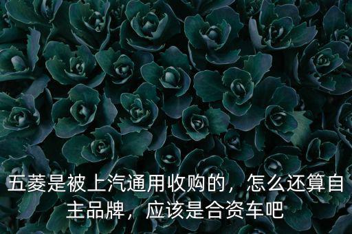 五菱是被上汽通用收購(gòu)的，怎么還算自主品牌，應(yīng)該是合資車吧