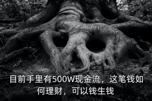 目前手里有500W現(xiàn)金流，這筆錢(qián)如何理財(cái)，可以錢(qián)生錢(qián)
