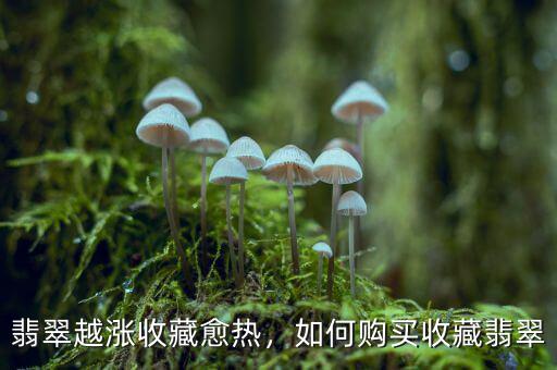 翡翠越漲收藏愈熱，如何購買收藏翡翠