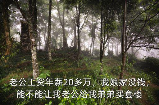 老公工資年薪20多萬，我娘家沒錢，能不能讓我老公給我弟弟買套樓