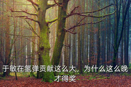 于敏在氫彈貢獻(xiàn)這么大，為什么這么晚才得獎(jiǎng)