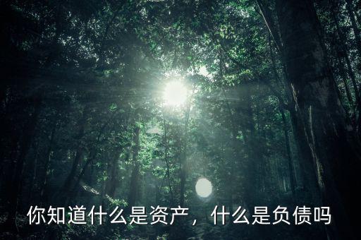 你知道什么是資產(chǎn)，什么是負債嗎