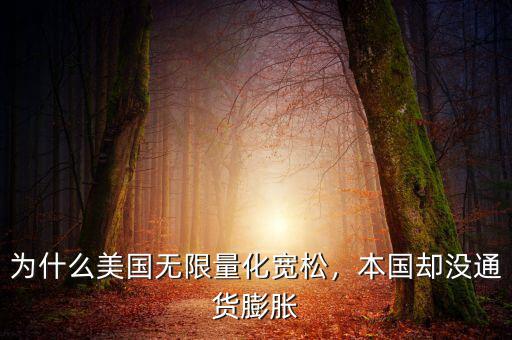 為什么美國無限量化寬松，本國卻沒通貨膨脹