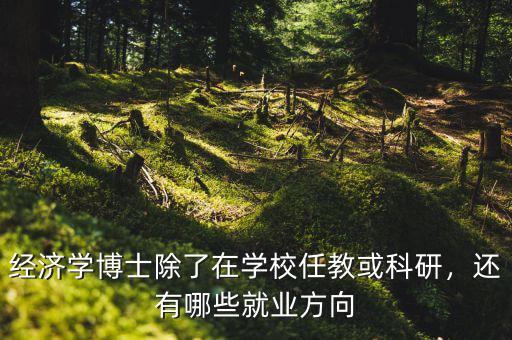 經(jīng)濟(jì)學(xué)博士除了在學(xué)校任教或科研，還有哪些就業(yè)方向