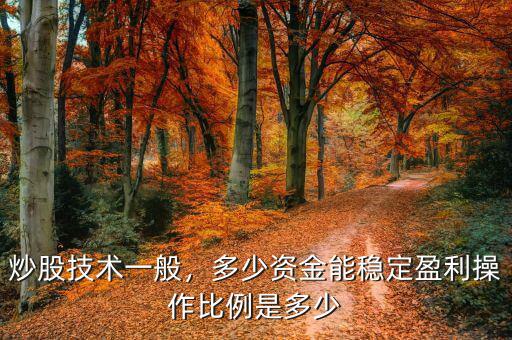 炒股技術(shù)一般，多少資金能穩(wěn)定盈利操作比例是多少