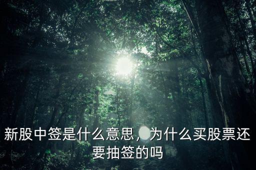 新股中簽是什么意思，為什么買股票還要抽簽的嗎